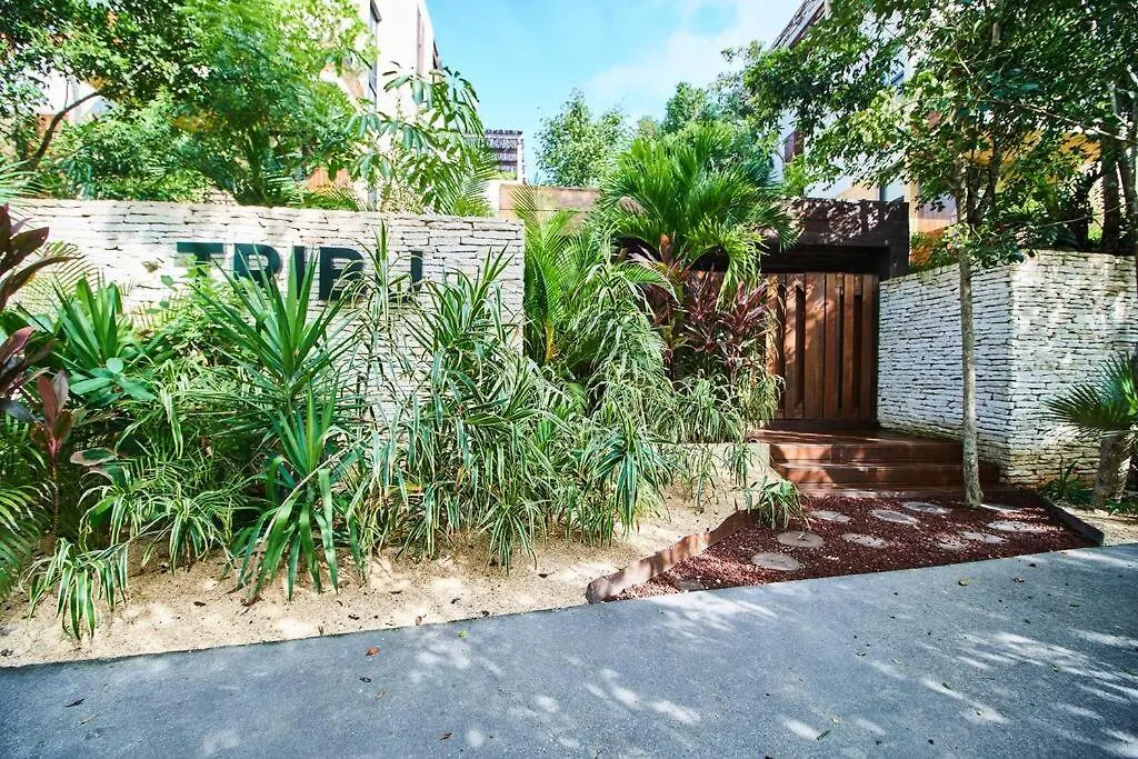 Tribu 306 Boho Design Gem In The Heart Of Tulum W/ Rooftop 0*,
